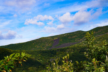 Obraz premium 山肌の溶岩跡（東京都三宅島）
