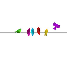 Fototapeta premium Colored birds on a wire. Vector illustration