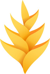 Bird of paradise flowers