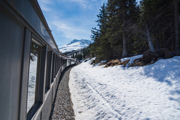 Fototapeta premium Alaska Railroad