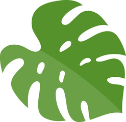 monstera leaf