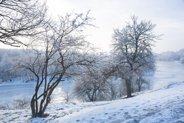 Beautiful sunny landscape near the river in the frosty park