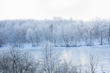A forest covered with frost near a frozen river on a sunny winter morning