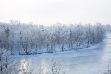 A forest covered with frost near a frozen river on a sunny morning