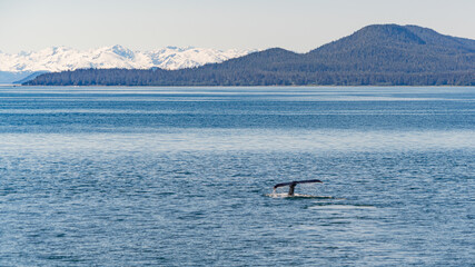 Obraz premium Alaskan Beauty