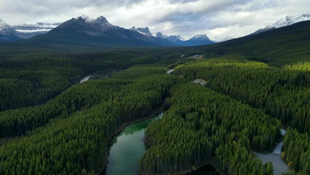Scenic View of water in a mountain forest lake with pine trees. Aerial drone view of green lake and green forests in banff  national park. Crystal clear mountain lake between forest. 