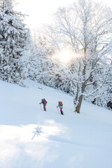 Fototapeta na wymiar Two women with backpacks walk in snowshoes in the snow