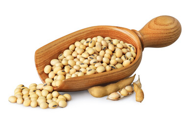 soybeans in wooden scoop and pods near isolated on white