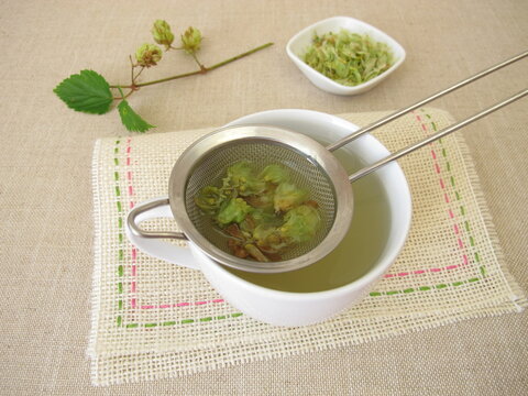 Herbal tea with dried hop flowers in tea strainer