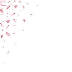 Purple Lotus Petal Vector White Background.