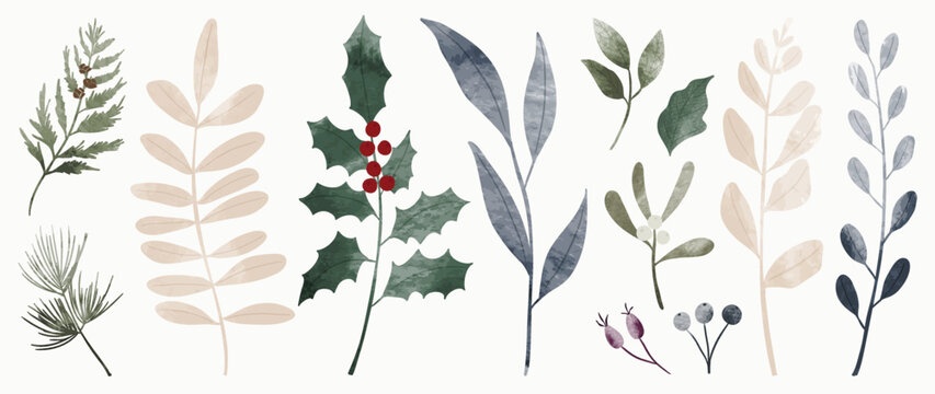 Set Of Watercolor Winter Botanical Leaf Branch On White Background. Collection Of Christmas Foliage, Pine Leaves, Holly, Mistletoe. Design For Print, Sticker, Decoration, Card, Poster, Artwork. 