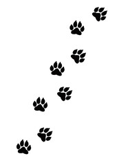 犬の足跡