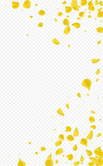 Yellow Floral Beauty Vector Transparent