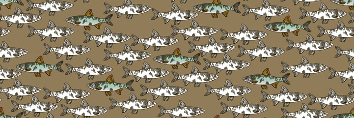 A pattern of graphic white fish with a contour and colored fish with a contour. Fish swim in different directions. Seamless pattern for printing on textiles and paper. Gift wrapping, print on clothes