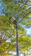 solar light pole in the garden