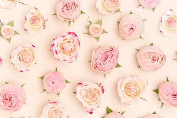 Pink rose flowers pattern on a beige background. Festive floral concept.