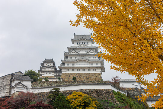 Himeji, Japan. The main keep (tenshu) of the White Egret or Heron Castle, a castle complex from the Azuchi Momoyama period and a World Heritage Site