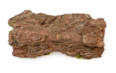 Dry pine bark isolated on white. Wooden bark with moss, top view