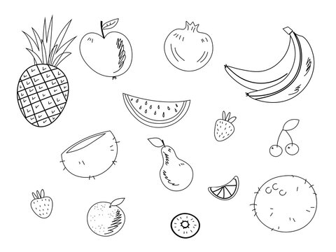 Vector sketch fruits and berries icons set. Decorative style collection hand drawn farm product for restaurant menu, market label. blueberry, pineapple, mandarin and etc. EPS