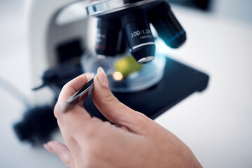 Science, scientist hand with tweezers and microscope with test sample zoom, research for scientific innovation in lab. Biotechnology or botany with doctor in lab and analysis with study closeup.