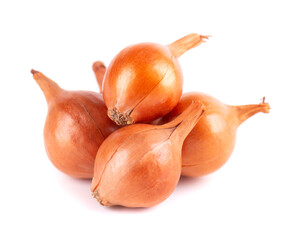 Brown mini onions isolated on a white background. Raw onion bulbs, for cultivation. French onion.