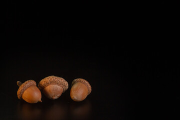 Acorns on a black background close-up