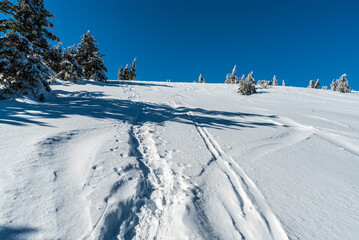 Winter mountain  scenery with snow, smaller trees and clear sky