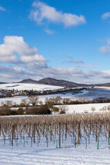 Landscape with vineyards, Slovacko, Southern Moravia, Czech Republic