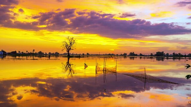 The time lapse sunset landscape in the vast floodplain wetlands, they bring alluvium for the upcoming rice crops to be green. Peaceful landscape Vietnam my hometown