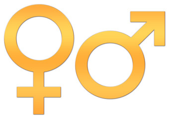 A set of female and male gender signs made in gold, highlighted on a white background