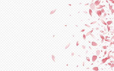 Purple Rose Vector Transparent Background. Apple