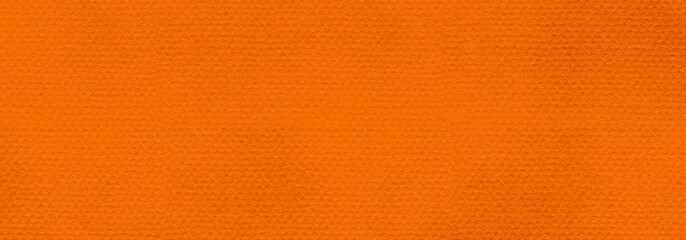 Orange Colored Paper Texture Background. Procreate Digital Art