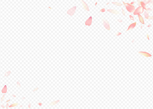 Pink Leaf Vector Transparent Background. Bloom