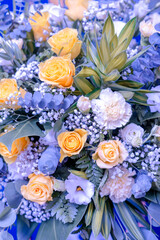 bunch of beautiful yellow & blue tone color flower