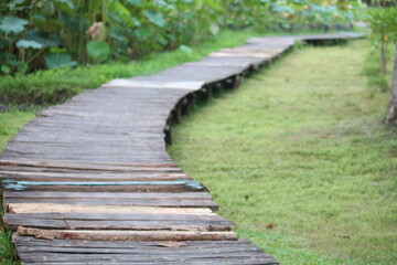 wooden walkway garden in the park outdoor Landscape