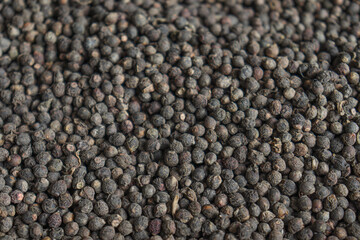dry malabar spinach seeds stock