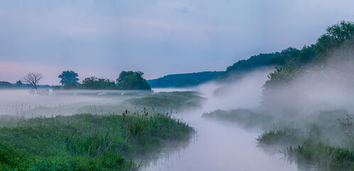 mist over the river