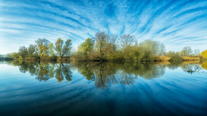Obraz premium reflection of trees in water