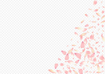 Bright Blossom Vector Transparent Background.