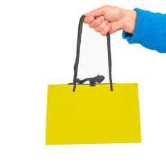 Gift bag in yellow