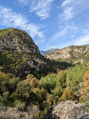 Fototapeta na wymiar Autumn landscape of forests in the mountains. Mountains under a clear sky