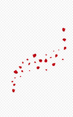 Delicate Rose Blur Vector Transparent Background.