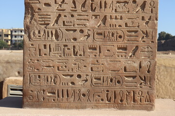 Ancient egyptian hieroglyphs carved on a stone at Karnak temple in Luxor 