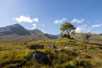 Obraz na płótnie Canvas Highland scenery in Inverness, Glenmoriston, Scotland