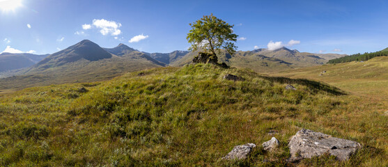 Highland scenery in Inverness, Glenmoriston, Scotland