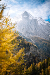 MArmolada mountain during autum with yellow larches on the foreground. South Tyrol, Italy.
