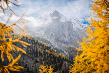MArmolada mountain during autum with yellow larches on the foreground. South Tyrol, Italy. - 551778749