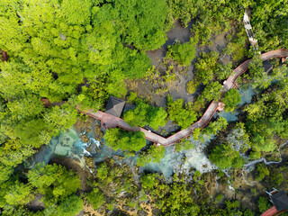 Top view Mangrove forest and river landscape at Thapom Klong Song Nam, Krabi Thailand, Beautiful root in mangrove forest with crystal clear water in small canal,High angle view