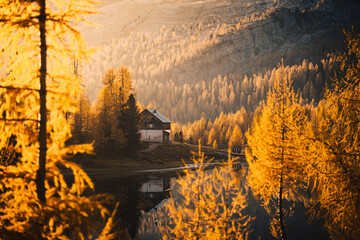 Federa lake during sunrise, with autumnal colors. Federa Lake, Cortina d'Ampezzo, Belluno province, Veneto, Italy - 551779773