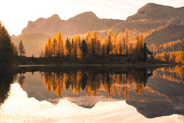Federa lake during sunrise, with autumnal colors. Federa Lake, Cortina d'Ampezzo, Belluno province, Veneto, Italy - 551779785